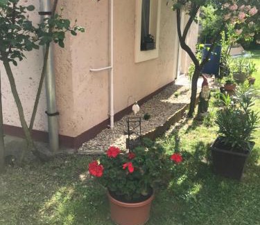 Egerszalok House | Inviting Guest House Rózsakert: Pet-Friendly & Accessible Stay