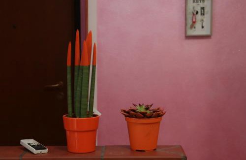 Cadelbosco di Sopra Apartment | Family-Friendly Guest House Romero with Top Ratings
