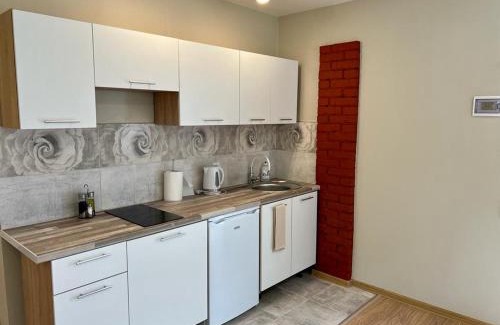 Nica Apartment | Saulgriezes: Family-Friendly Retreat with Private Beach Access