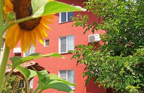Pomorie House | Budget-Friendly Stay at Guest House Sunflowers - 9/10 Rated
