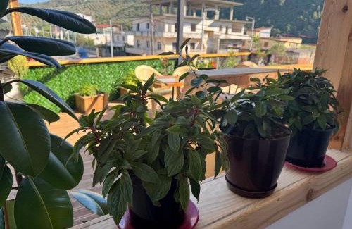 Berat House | Guest House Toska