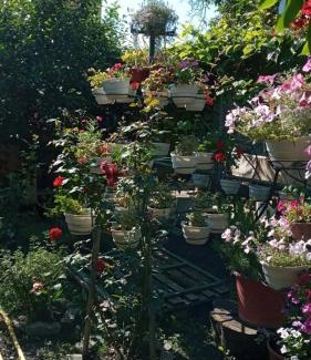 Berehove House | Guest House Zhanna: Highly Rated with Family-Friendly Amenities
