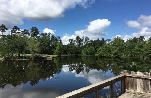 Plantersville Cabin | Cozy Guest Ranch Cabin with Pool and Fishing Lake