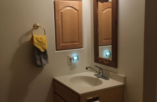 Aspen Apartment | Cozy Guest Room with En-suite Bath & Wet Bar Amenities