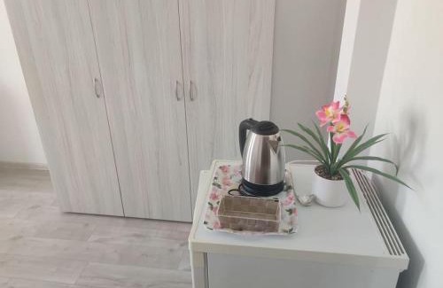 Kazanlak Apartment | Guest rooms 4 Zdrave