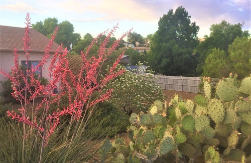 Cottonwood-Verde Village House | Eco-Friendly Guest Suite with Private Rooms & Dog Friendly