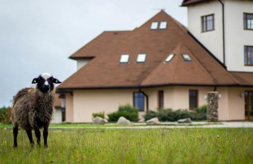 Birzgale Hotel | Experience Unmatched Comfort at Guesthouse Četri Vēji