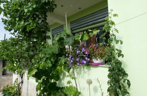 Berat Apartment | Welcoming Guesthouse Aleksander: Top-Rated Family Stay
