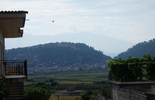 Berat Apartment | Welcoming Guesthouse Aleksander: Top-Rated Family Stay