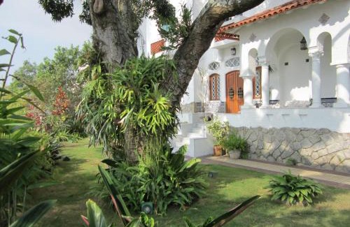 Santa Teresa Bed & Breakfast | Top-Rated Guesthouse Bianca with Delicious Breakfast Included