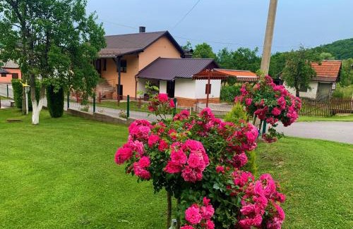 Perusic House | Top-Rated Guesthouse Diva Grabovčeva with Family Amenities