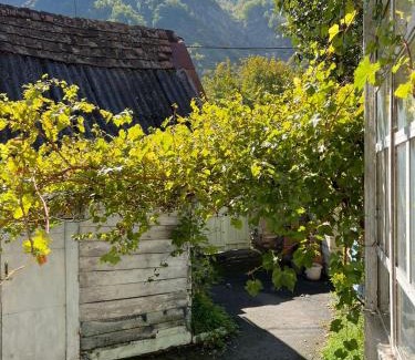 Ilisu House | Discover Guesthouse Ilisu: Family & Pet-Friendly Retreat