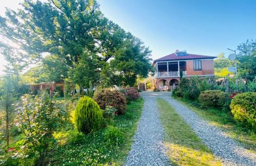Salkhino House | Pet-Friendly Guesthouse Kamelia with Top Ratings of 9.4