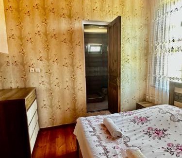 Salkhino House | Pet-Friendly Guesthouse Kamelia with Top Ratings of 9.4