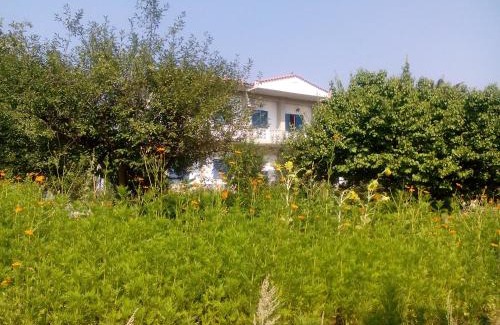 Eresos-Antissa House | Pet-Friendly Retreat at Guesthouse Karidia - 8.4 Rated!