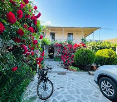 T'ba House | Pet-Friendly Guesthouse Mtkvari with Top-Rated Amenities