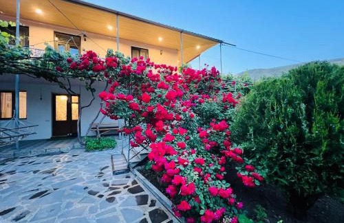 T'ba House | Pet-Friendly Guesthouse Mtkvari with Top-Rated Amenities