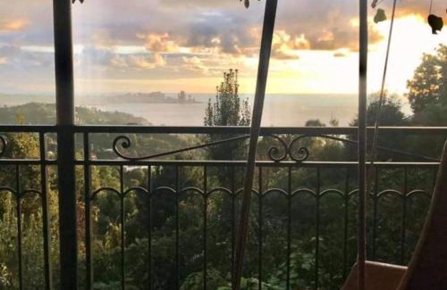 Mtsvane Kontskhi House | Exceptional Guesthouse Mtsvane Koncxi: Pet & Child Friendly