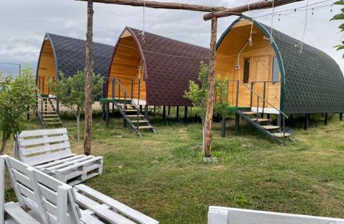 Issyk-Kul Region House | Guesthouse Snow Leopard - 'Ak Ilbirs'