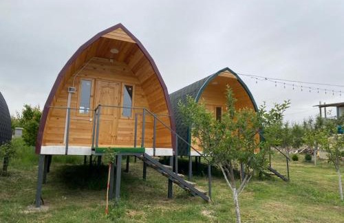 Issyk-Kul Region House | Guesthouse Snow Leopard - 'Ak Ilbirs'