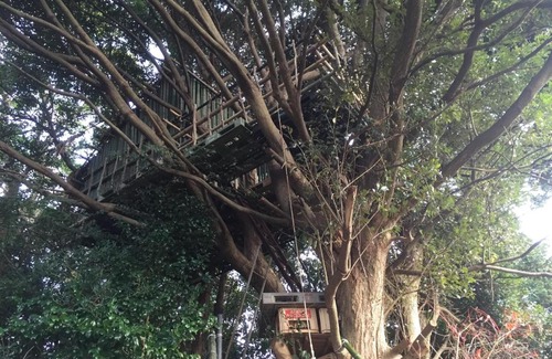 Iki House | Highly Rated Guesthouse Wasabi: Pet-Friendly and Family-Ready