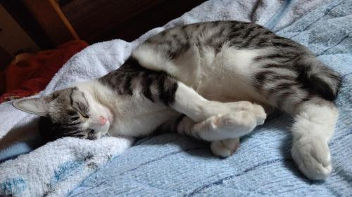 Takamatsu Cho House | Cozy Guesthouse Yashima: Pet-Friendly with Family Amenities
