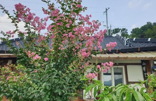 Jeonju House | Cozy Gugangjae Hanok Stay: Pet-Friendly and Family-Ready