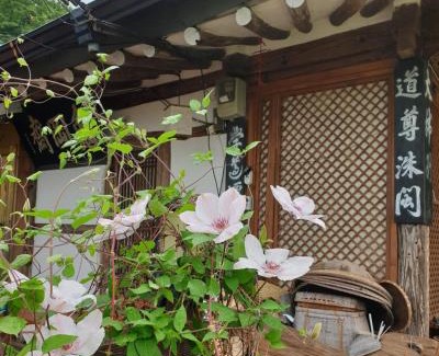 Jeonju House | Cozy Gugangjae Hanok Stay: Pet-Friendly and Family-Ready