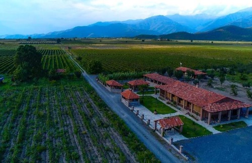 Kvareli Hotel | Welcoming Gugoshvili's Cellar: Pet-Friendly & Family-Oriented