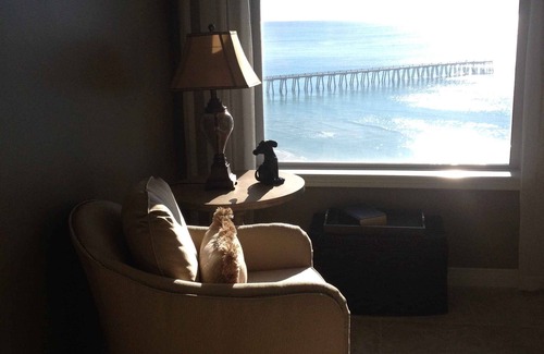 Navarre Beach Condo | Unforgettable Gulf Front Condo with Amazing Amenities