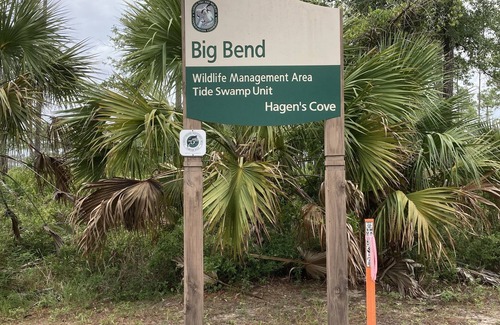 Keaton Beach RV Rental | Inviting Gulf Front RV Site with Deck and Eco-Friendly Amenities