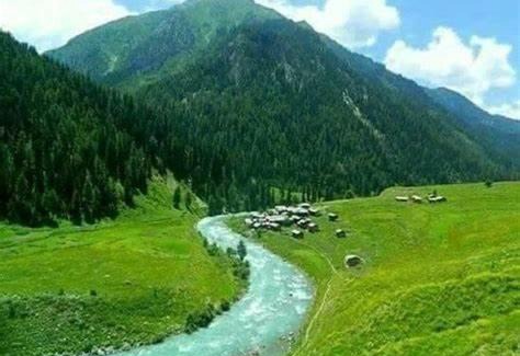 Azad Kashmir Cabin | Gultari Guest Rooms