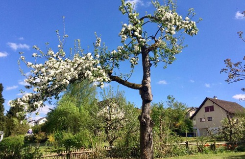 Andelfingen District House | Family-Friendly Guntli’s Guesthouse with Breakfast Included