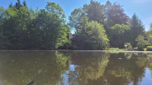Hanerau-Hademarschen House | Pet-Friendly Retreat at Gut Hanerau with Child Amenities