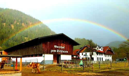 Unterpinswang Apartment | Gutshof zum Schluxen: Pet-Friendly Retreat with Ocean View