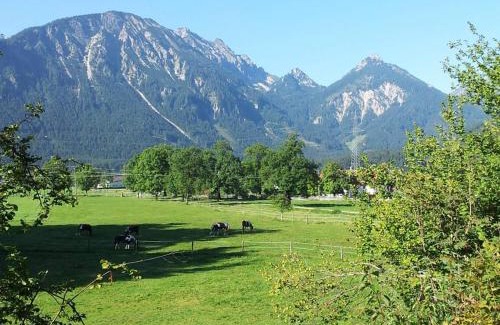 Unterpinswang Apartment | Gutshof zum Schluxen: Pet-Friendly Retreat with Ocean View