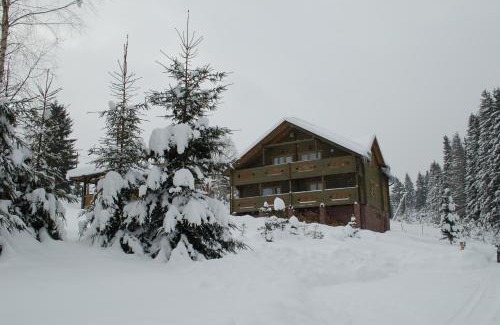 Yablunytsya Cabin | Experience GUTSULWOOD: Family-Friendly Retreat with Kitchen