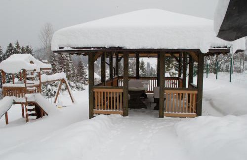 Yablunytsya Cabin | Experience GUTSULWOOD: Family-Friendly Retreat with Kitchen