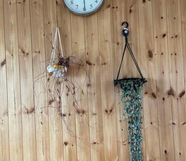Aewol Villa | Discover Gwakji Olle: Pet and Child-Friendly Getaway