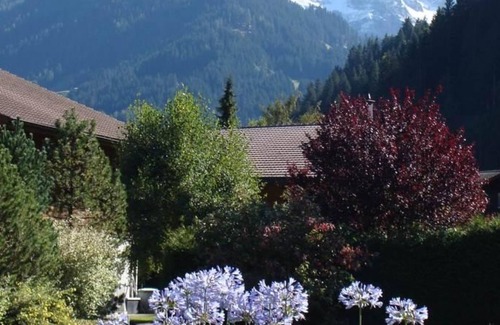 Lenk Apartment | Discover Gwunderstübli by Interhome: Spa & Family-Friendly Stay