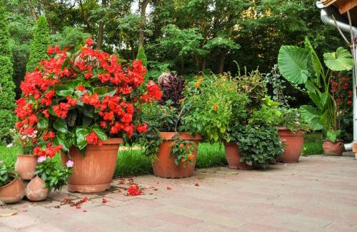 Asotthalom House | Discover Gyömbér Tanya: 4-Star Stay with Hot Tub & Pets