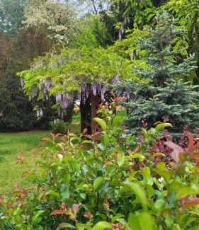 Asotthalom House | Discover Gyömbér Tanya: 4-Star Stay with Hot Tub & Pets