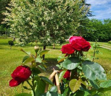 Asotthalom House | Discover Gyömbér Tanya: 4-Star Stay with Hot Tub & Pets