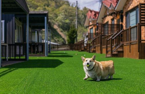 Gyeongju House | Gyeongju Helper pet Pension