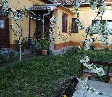 Mezokovacshaza House | Discover Hársfák: Pet-Friendly Retreat with Hot Tub