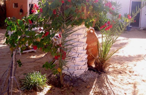Douz House | Comfortable Stay Near the Desert in Douz with Breakfast