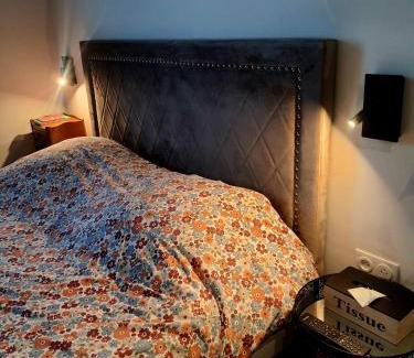 Saint-Etienne Apartment | Pet Friendly 4-Star Apartments in Saint-Étienne, France
