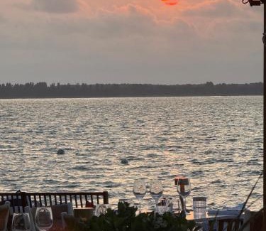 Ronce-les-Bains Hotel | Beachfront Hôtel de la Plage with Pool and Ocean Views