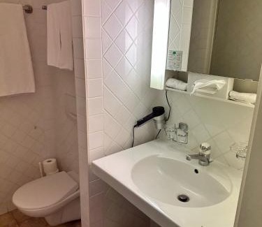 Nyon Hotel | Discover Comfort at Hôtel des Alpes – Pet Friendly & More!