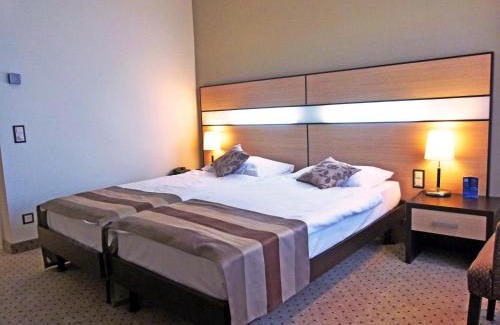 Nyon Hotel | Discover Comfort at Hôtel des Alpes – Pet Friendly & More!